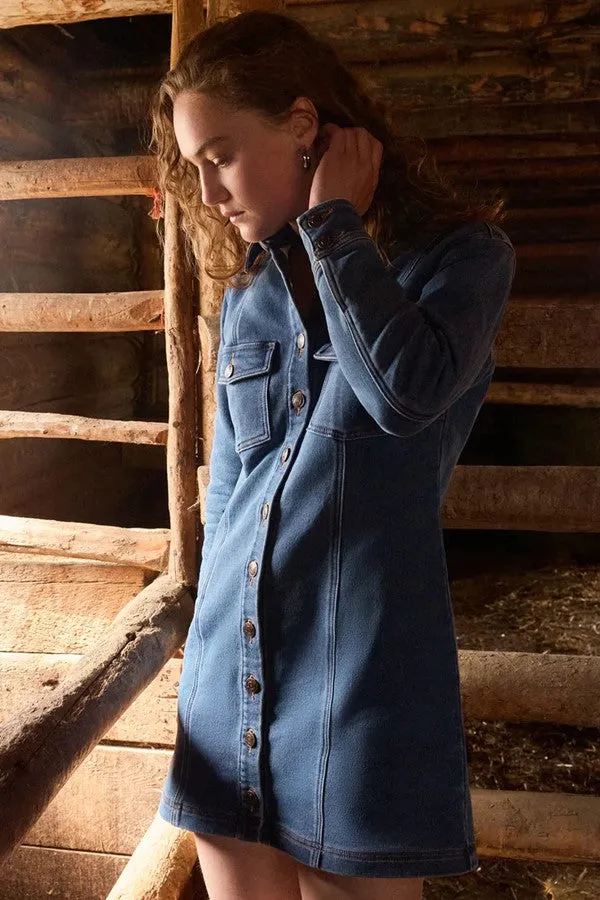 Candice Perfect Knit Denim Mini Dress