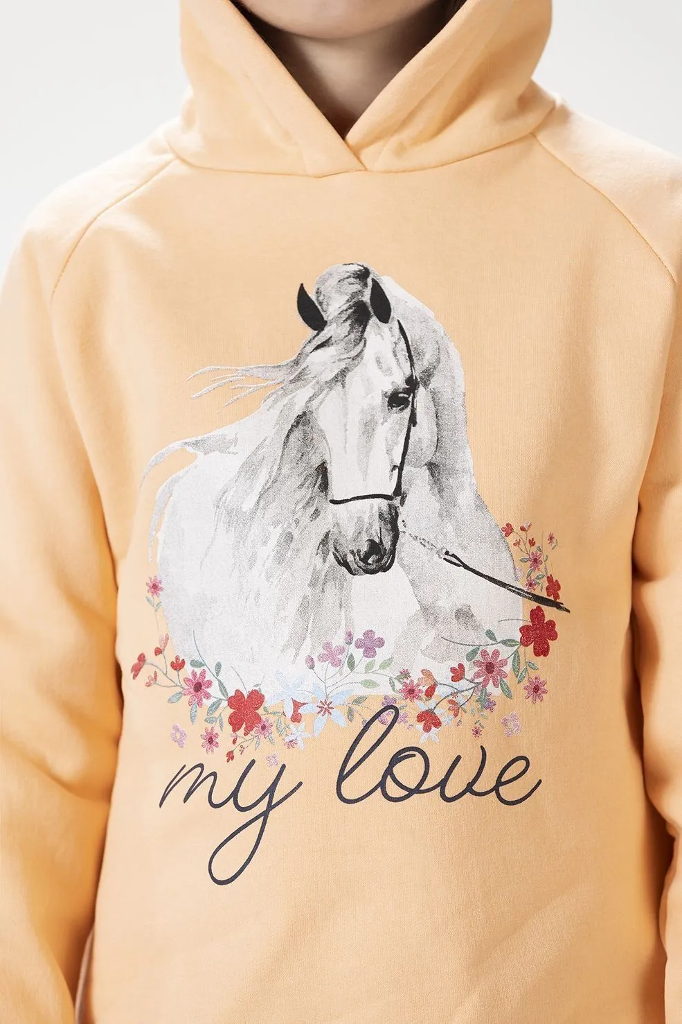 HKM Hoody Horse Spirit