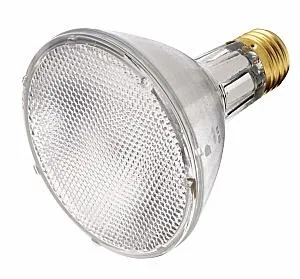 Satco S4879 HID PAR Flood & Spot PAR30LN