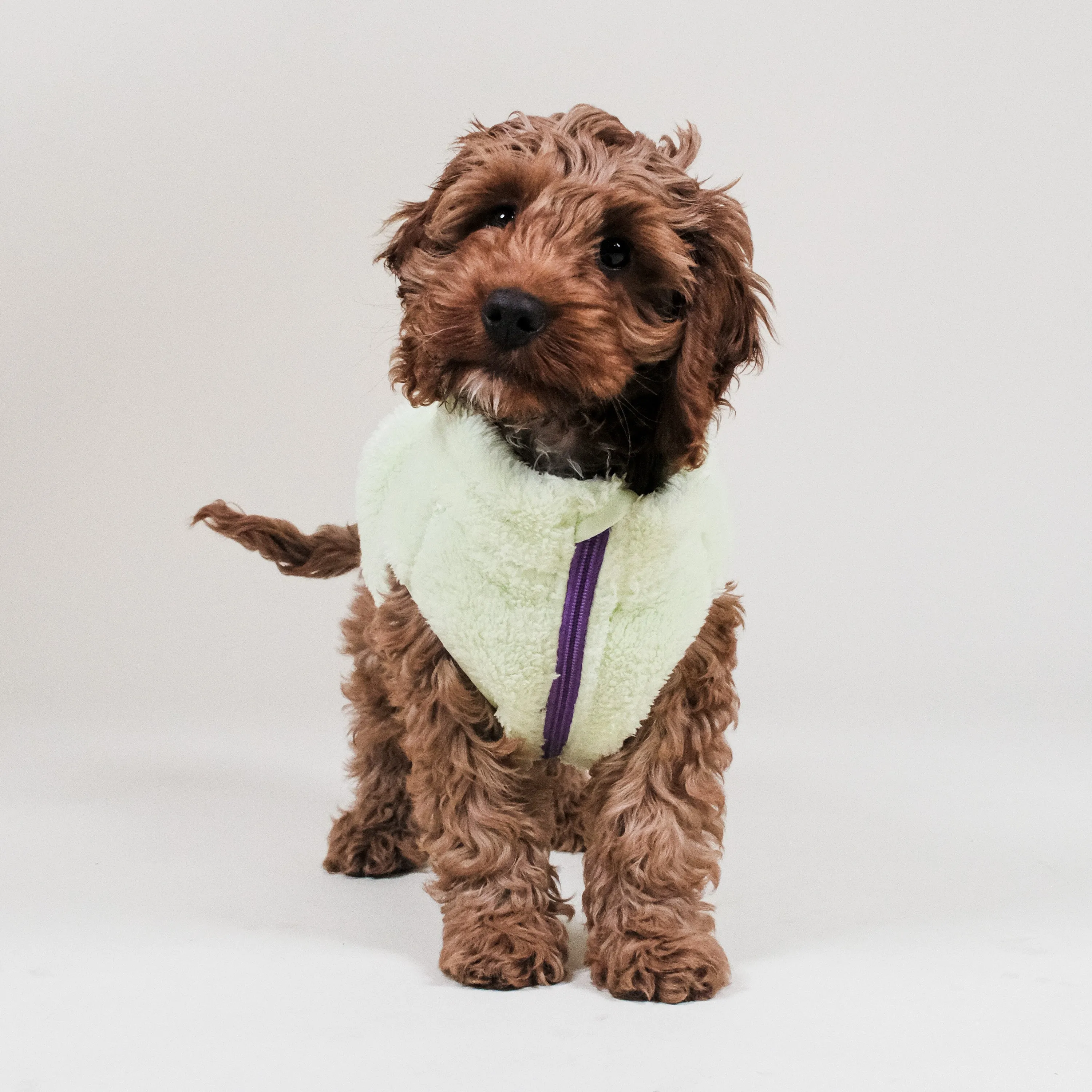 Sherpa Fleece Dog Vest Multipack